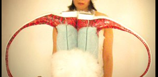 Bildschirmfoto 2011-08-05 um 11.34.36 AM