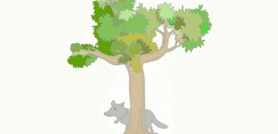 tree_bunt_wolf