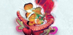 16105508_1848573465387852_865023482104368886_n-770x547